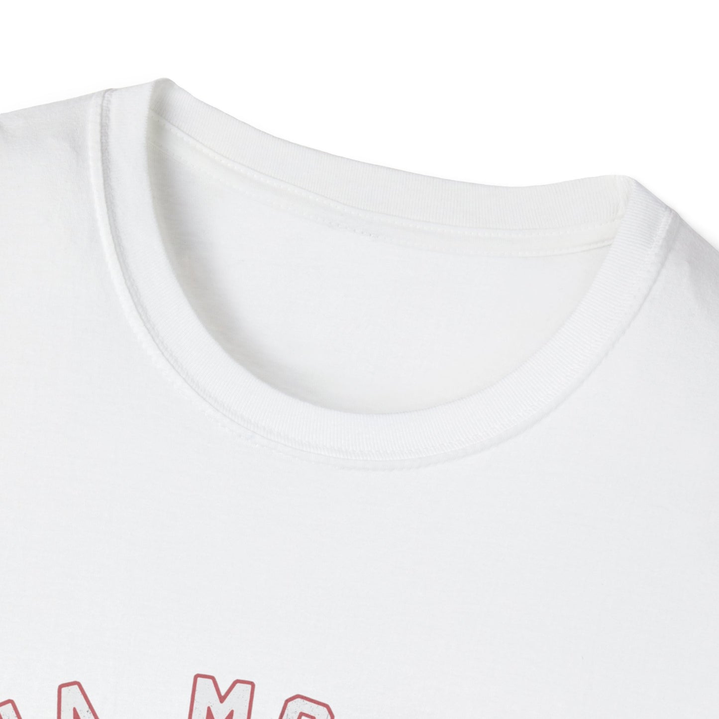 Sonja Morgan's Intern | Unisex Softstyle Graphic T-Shirt